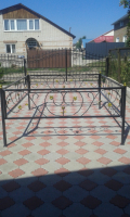 uploaded image