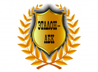 uploaded image