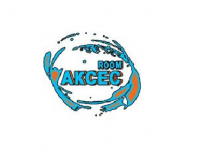 uploaded image