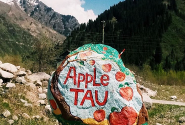 Зона отдыха “Apple TAU”. Рядом с городом - вдали от суеты!