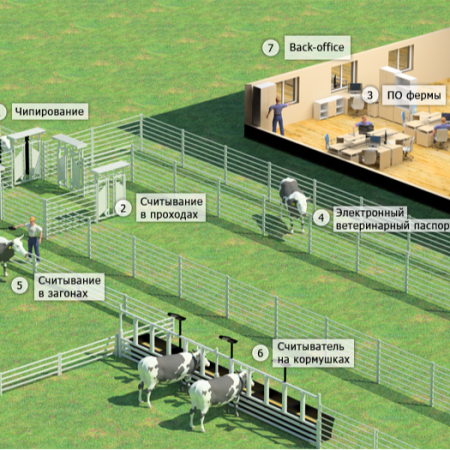 Центр чипирования и продажи чипов для животных «zoochip.kz»