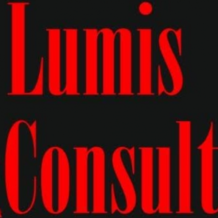 LUMIS Consult- консалтинговая компания